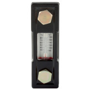 With Thermometer