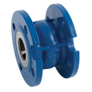 Cast Iron Check Valve