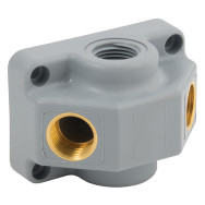 Manifold