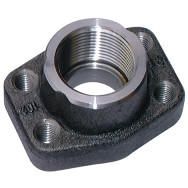 Flanges