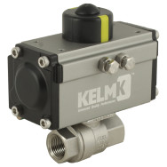 Pneumatic Actuated Stainless S