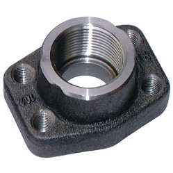 Flanges