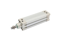 100MM X 300MMST MAG.DA CYL ST.ST. P.ROD