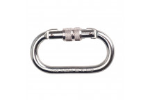 FP30 Screwgate Carabiner Silver