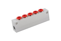 04MM OD X 1/8\" BSPP FEM 5-WAY MANIFOLD