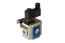 1/4\" SOFT START VALVE 24V DC 300 SERIES