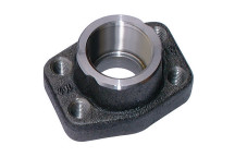 1/2\" Butt Weld Flange