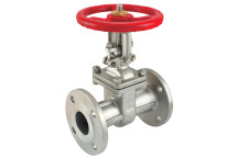 3\" ANSI150 ST/ST GATE VALVE