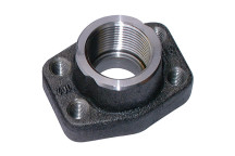2\" BSP x 2\" Threaded Flange