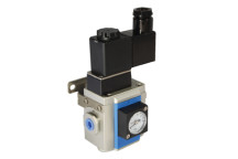1/8\" SOFT START VALVE 24V DC 200 SERIES