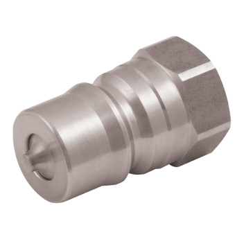 1\" BSP Parallel Female Plug