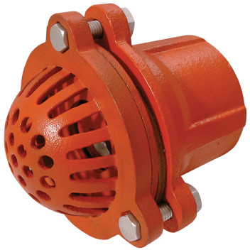 6\" BSPP MALLEABLE IRON FOOT VALVE