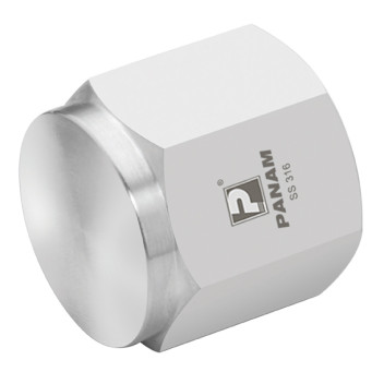 3/4\" BSPP 6K PSI 316 CAP