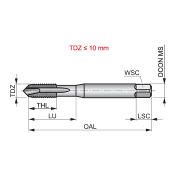 6mm Dormer Spiral Point TiN Tap EP00TINM6