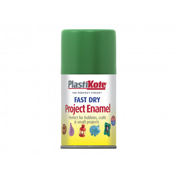 PlastiKote Fast Dry Enamel Aerosol Garden Green 100ml