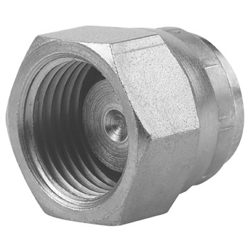 2\" BSPP SWIVEL 60 CONED BLANKING CAP