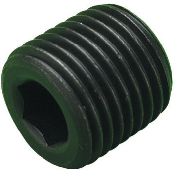 Socket Pressure Plugs 1\" BSPT