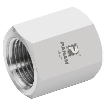 1/4\" BSP x 1/4\" BSP Female/Female