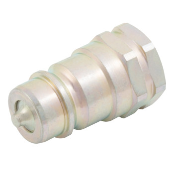 2\" BSP Parallel Female Plug