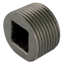 Plugs and Caps