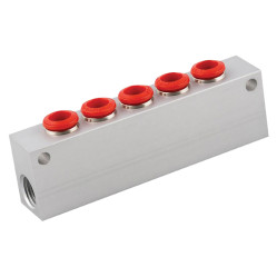 Manifold