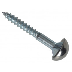 Mirror Screws