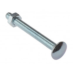 Carriage Bolts