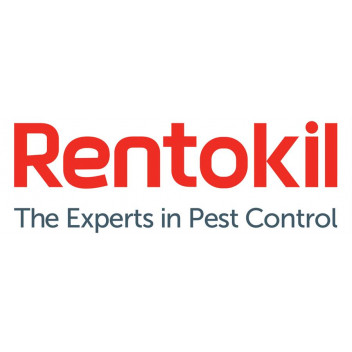Rentokil Spider & Crawling Insect Trap